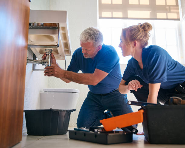 Best Local Plumber Services  in Crystal City, TX